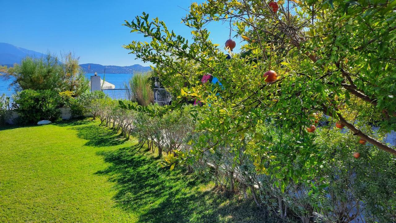 Alekos Beach Houses-Alekos Beach Complex Lixouri Dış mekan fotoğraf